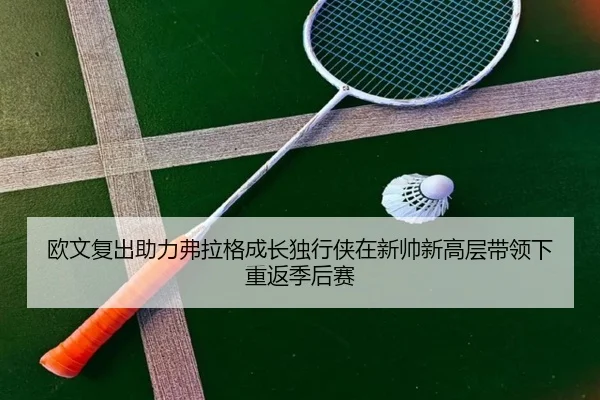 欧文复出助力弗拉格成长独行侠在新帅新高层带领下重返季后赛